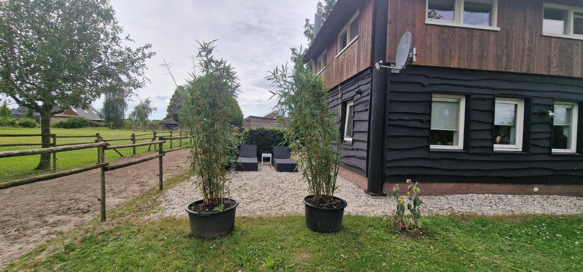 De Hooiberg Bed & Breakfast เอลสท์ ภายนอก รูปภาพ